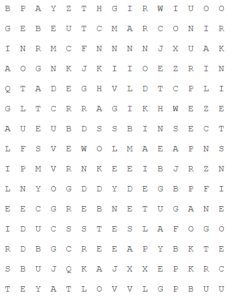 A word search puzzle is pictured