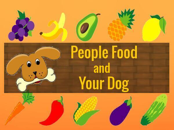 Fruits are on top of a rectangle with a dog holding a bone and the words 'People Food and Your Dog' written to the right with a row of vegetables below